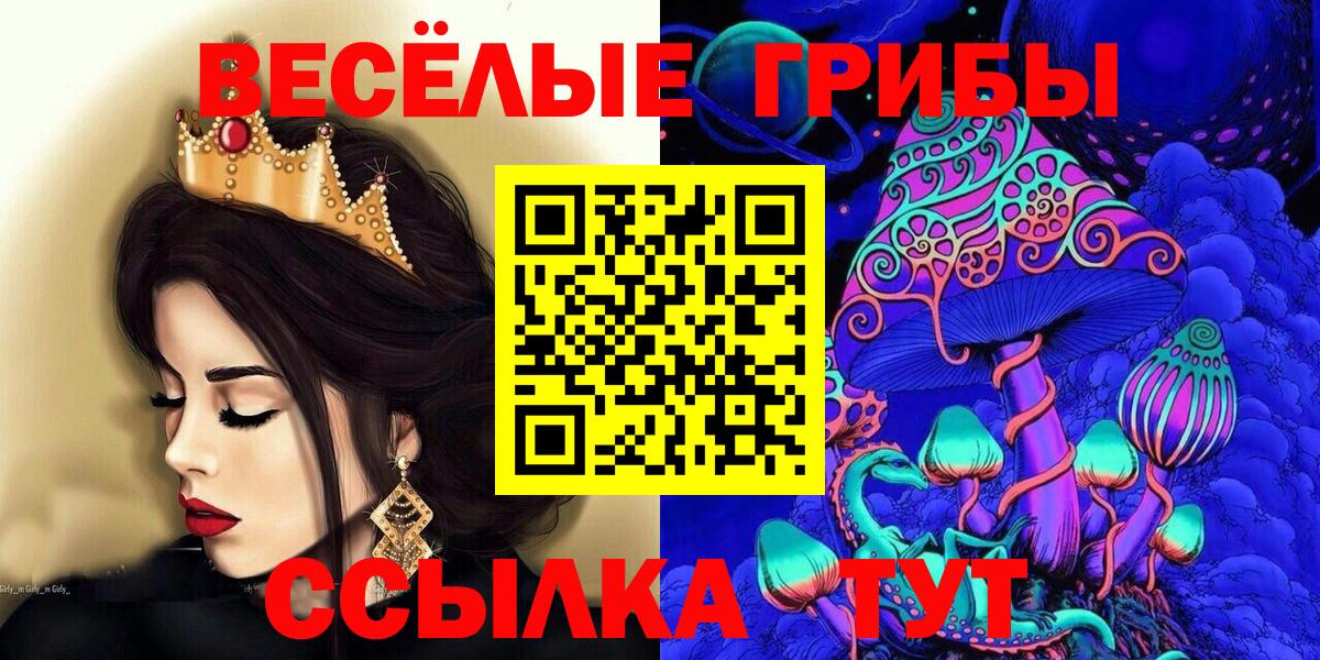 Галлюциногенные грибы Psilocybe  Вход с VPN  Обь 